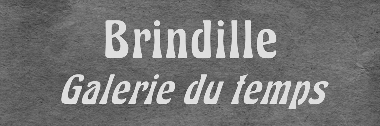 Brindille - Galerie du temps