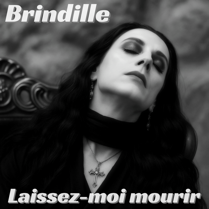 Laissez-moi mourir - Brindille - Label de Nuit Productions